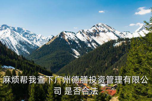 麻煩幫我查下廣州德膳投資管理有限公司 是否合法