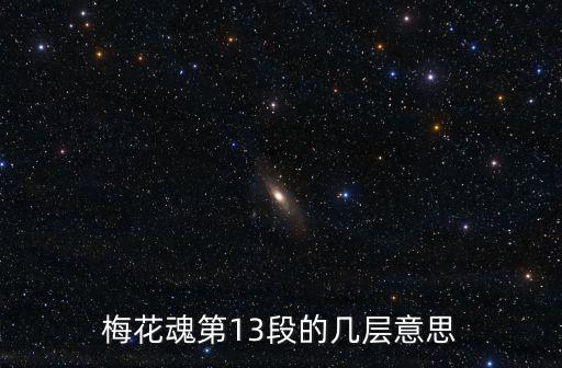 梅花魂第13段的幾層意思