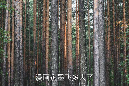 漫畫家墨飛多大了