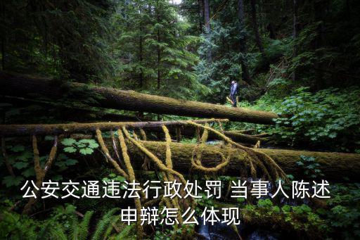 公安交通違法行政處罰 當事人陳述 申辯怎么體現