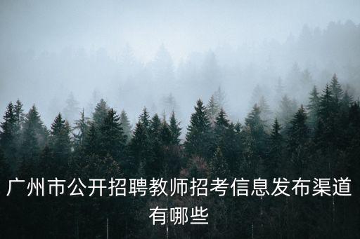 廣州市公開招聘教師招考信息發(fā)布渠道有哪些