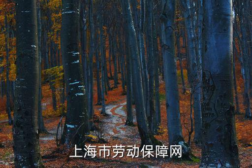上海勞動局官網，上海市勞動保障網