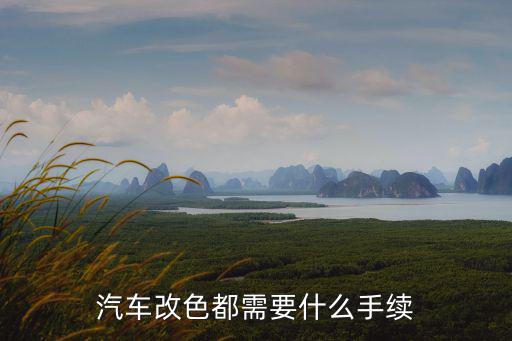 汽車改色都需要什么手續(xù)