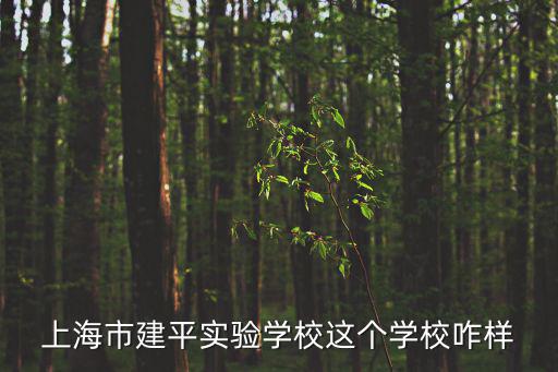泗涇實(shí)驗(yàn)學(xué)校，洞涇學(xué)校和泗涇學(xué)校哪家好