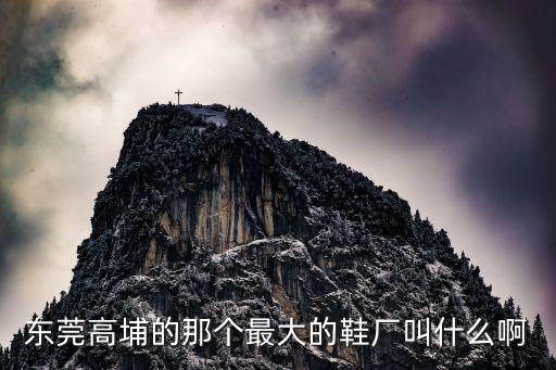 東莞高埔的那個最大的鞋廠叫什么啊