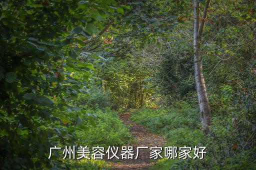 廣州美容儀器廠家哪家好
