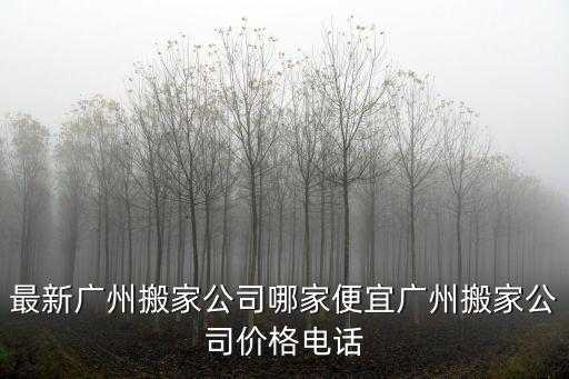 最新廣州搬家公司哪家便宜廣州搬家公司價格電話