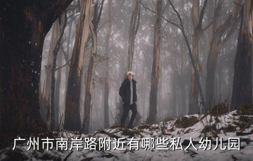 廣州市南岸路附近有哪些私人幼兒園