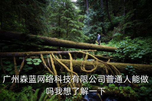 廣州森藍網(wǎng)絡科技有限公司普通人能做嗎我想了解一下
