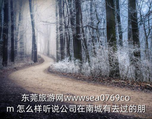 東莞旅游網wwwsea0769com 怎么樣聽說公司在南城有去過的朋