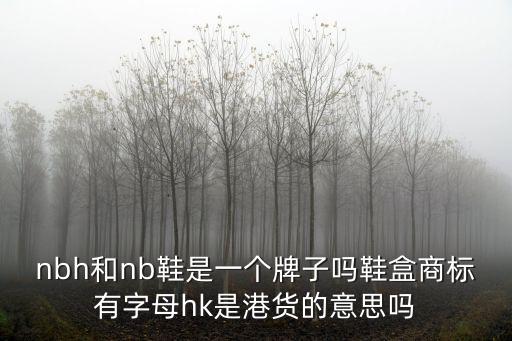 nbh和nb鞋是一個牌子嗎鞋盒商標有字母hk是港貨的意思嗎