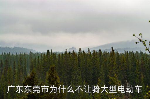 廣東東莞市為什么不讓騎大型電動車