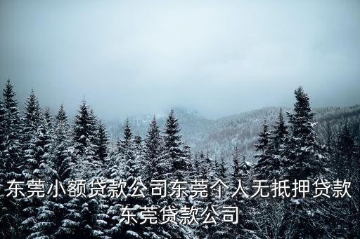 東莞市至誠小額貸款股份有限公司，東莞市目前共有哪幾家正規小額貸款公司