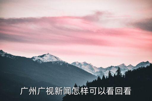 廣州廣視新聞怎樣可以看回看
