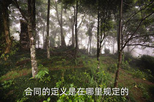 合同的定義是在哪里規定的