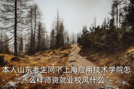 本人山東考生問(wèn)下上海應(yīng)用技術(shù)學(xué)院怎么樣師資就業(yè)校風(fēng)什么