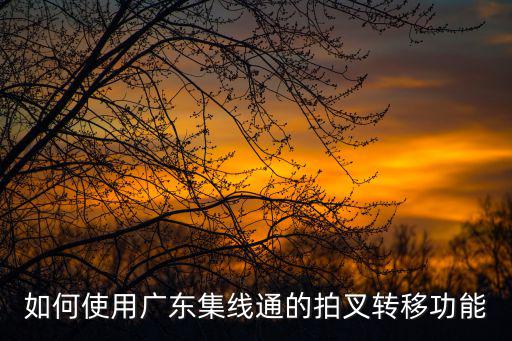 如何使用廣東集線通的拍叉轉(zhuǎn)移功能