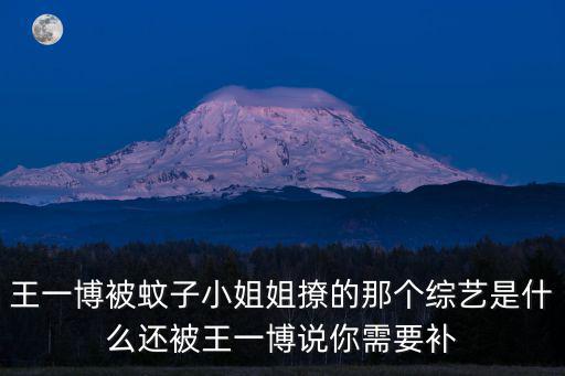 王一博被蚊子小姐姐撩的那個綜藝是什么還被王一博說你需要補