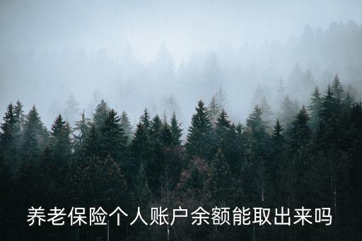 養老保險個人賬戶余額能取出來嗎