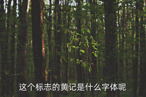 這個標志的黃記是什么字體呢