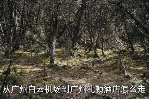 從廣州白云機場到廣州禮頓酒店怎么走