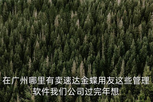 在廣州哪里有賣速達(dá)金蝶用友這些管理軟件我們公司過(guò)完年想