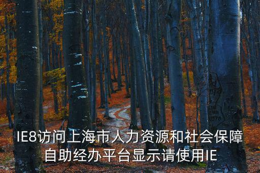 上海市人力資源和社會保障自助經辦系統，人力資源和社會保障自助