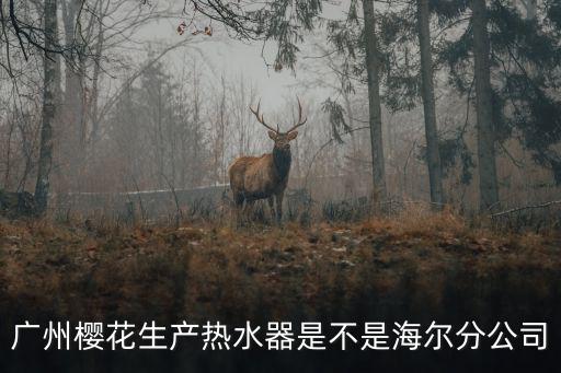 廣州櫻花生產(chǎn)熱水器是不是海爾分公司