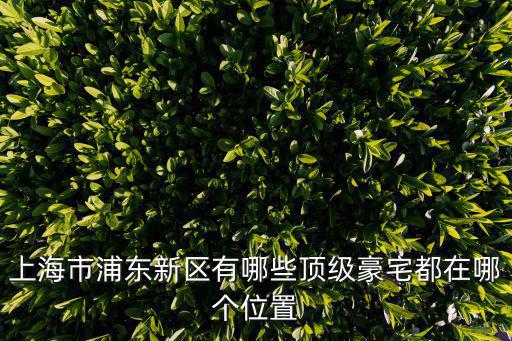 上海市浦東新區有哪些頂級豪宅都在哪個位置