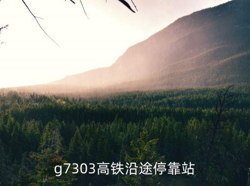 g7303高鐵沿途停靠站