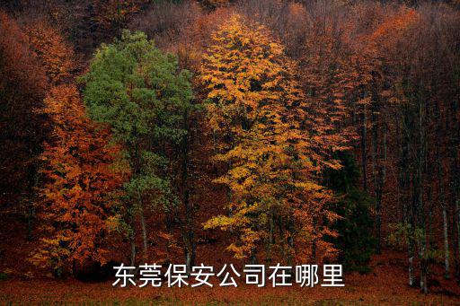 東莞保安公司，東莞保安公司在哪里