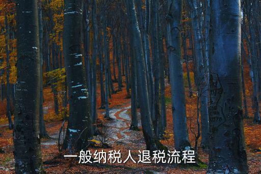 一般納稅人退稅流程