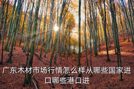 代理東莞進口木材，東莞厚街哪里有木材公司