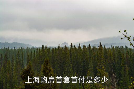 上海首套房，上海首套房的定義是什么