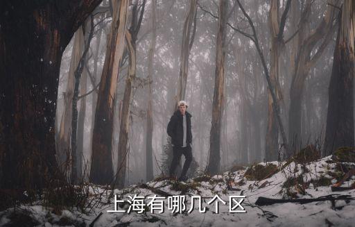 上海有哪幾個區