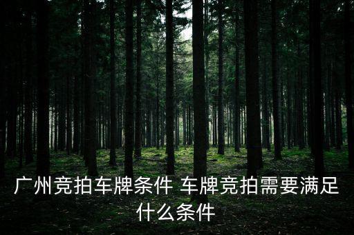 廣州競拍車牌條件 車牌競拍需要滿足什么條件