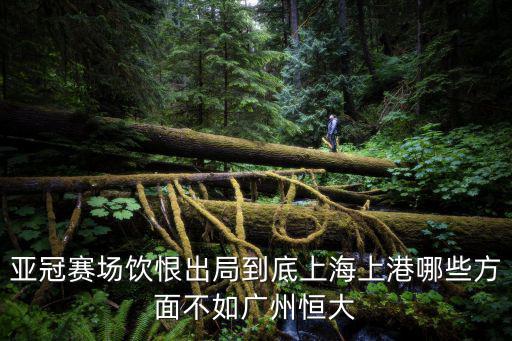 亞冠賽場飲恨出局到底上海上港哪些方面不如廣州恒大