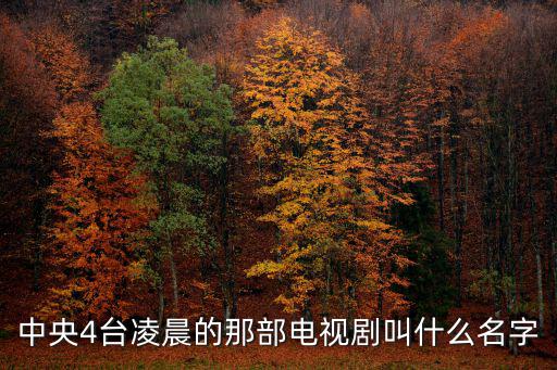 中央4臺凌晨的那部電視劇叫什么名字