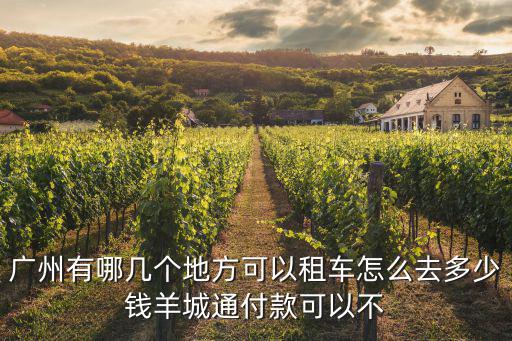 廣州有哪幾個(gè)地方可以租車怎么去多少錢羊城通付款可以不