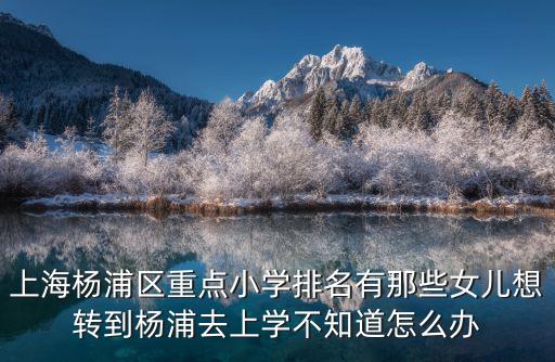 上海楊浦區重點小學排名有那些女兒想轉到楊浦去上學不知道怎么辦