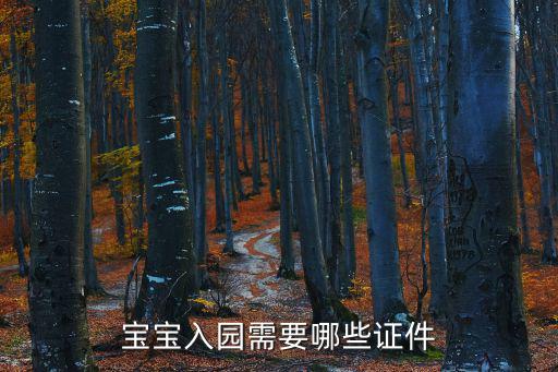 寶寶入園需要哪些證件