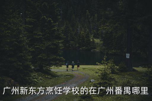 廣州新東方烹飪學(xué)校的在廣州番禺哪里