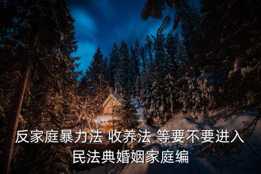反家庭暴力法 收養法 等要不要進入民法典婚姻家庭編