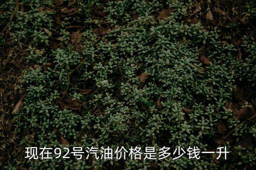 現在92號汽油價格是多少錢一升