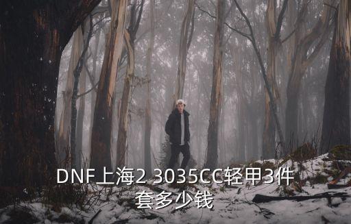 DNF上海2 3035CC輕甲3件套多少錢