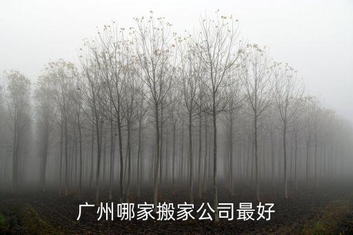 廣州人人搬家公司，廣州人人搬家公司電話多少打電話預約搬家有優惠的嗎