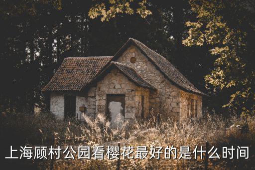 上海顧村公園看櫻花最好的是什么時間