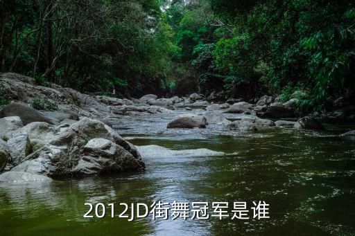 這就是街舞第三季冠軍，第三季冠軍是誰阿