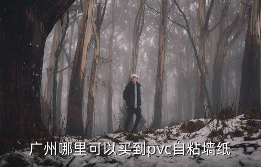 廣州哪里可以買到pvc自粘墻紙