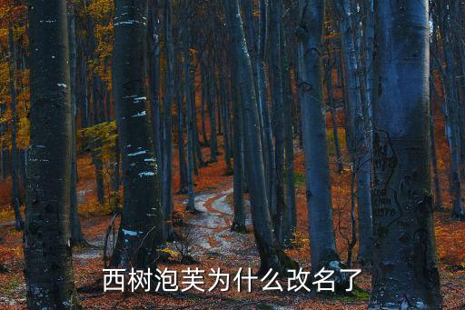 西樹，西樹工房和西樹泡芙是一家嗎